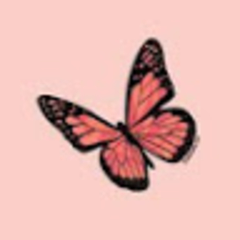 Meet your Posher, Laine